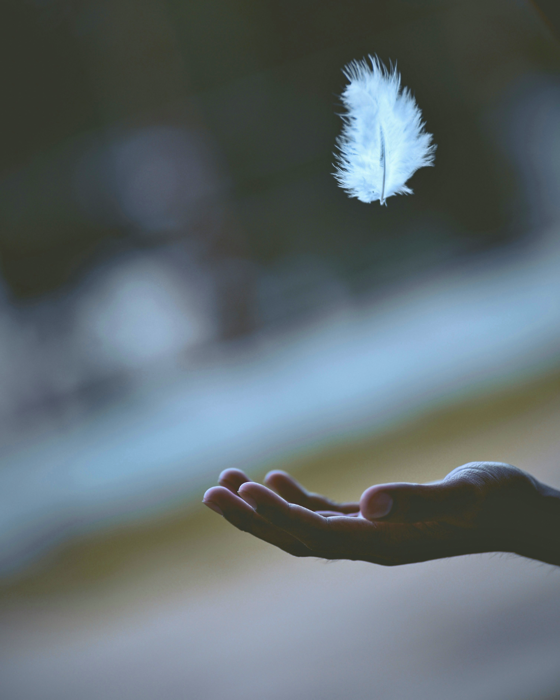 A white feather drifting down toward an open hand